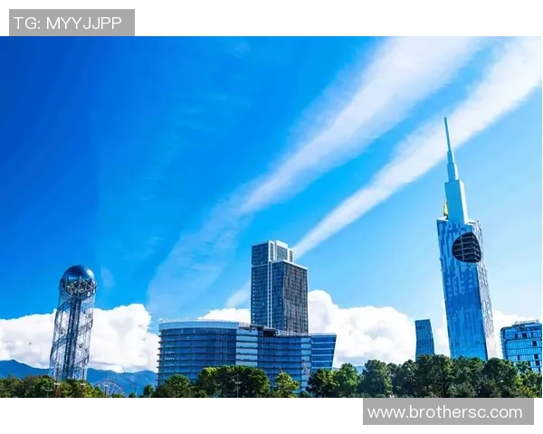 武汉羽毛球队转型之路揭秘：从传统强队到现代化竞技先锋的华丽蜕变